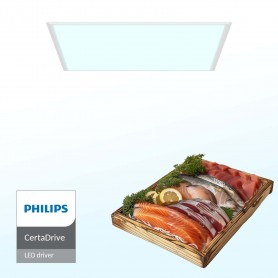 Pannello LED 60x60 44W, CRI92, PHILIPS - Pack 10 pezzi - Banco Pesce