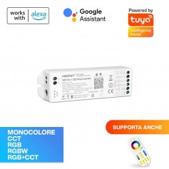 Ricevitore Dimmer 5CH RGB & RGBW Sincronizzazione automatica - Compatibile con Amazon Alexa